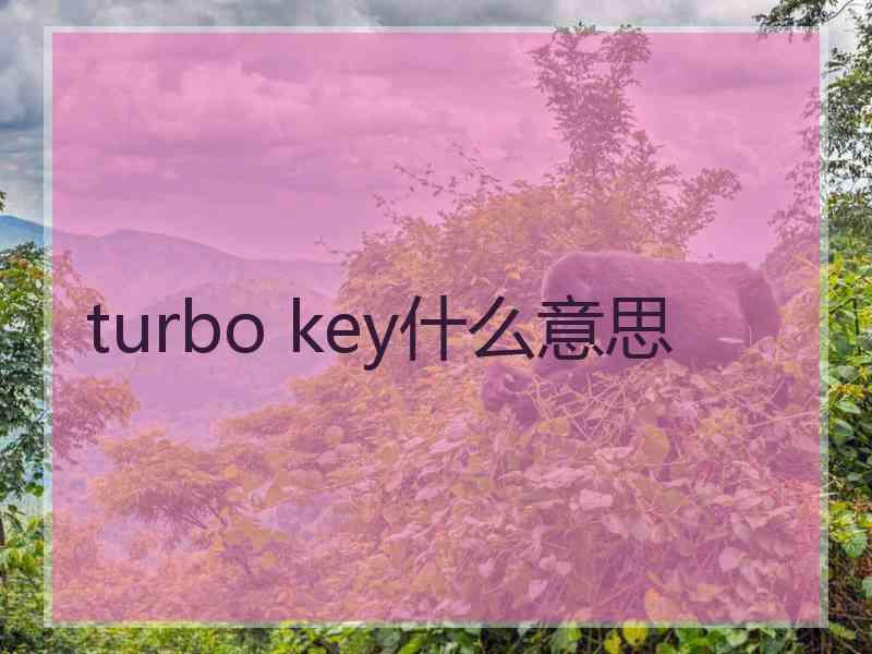 turbo key什么意思