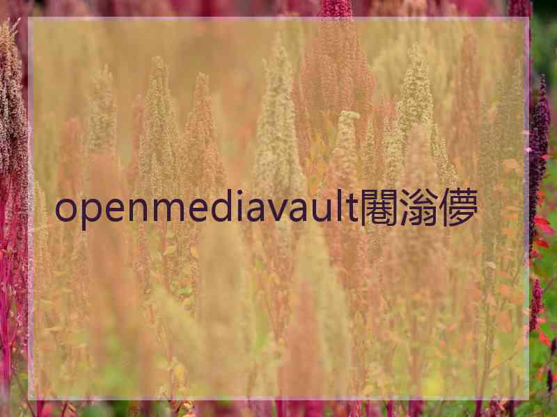 openmediavault闀滃儚