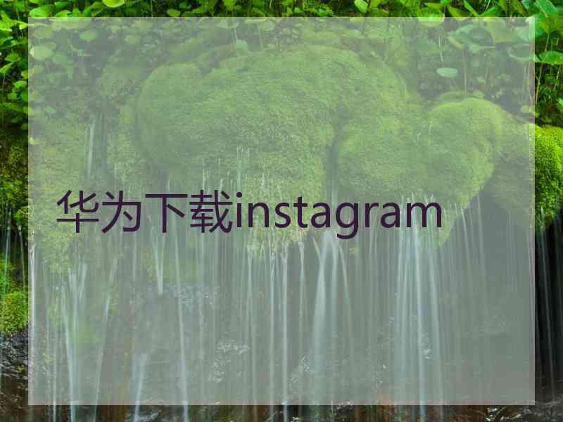 华为下载instagram