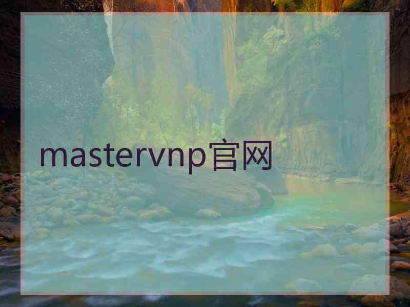 mastervnp官网