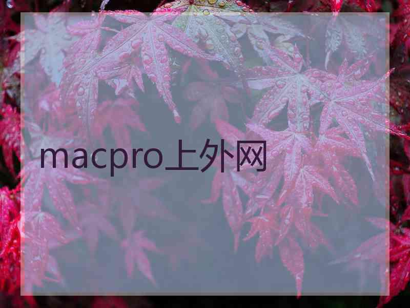 macpro上外网
