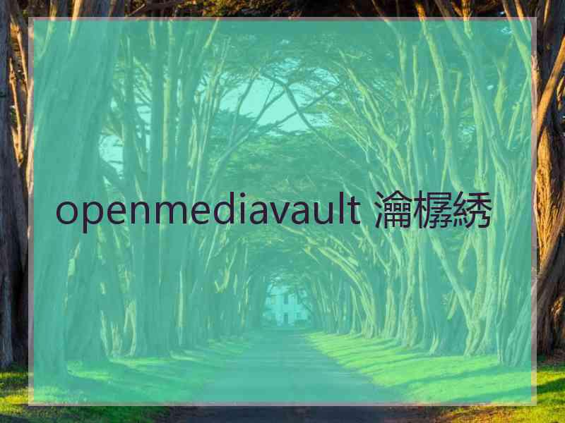 openmediavault 瀹樼綉