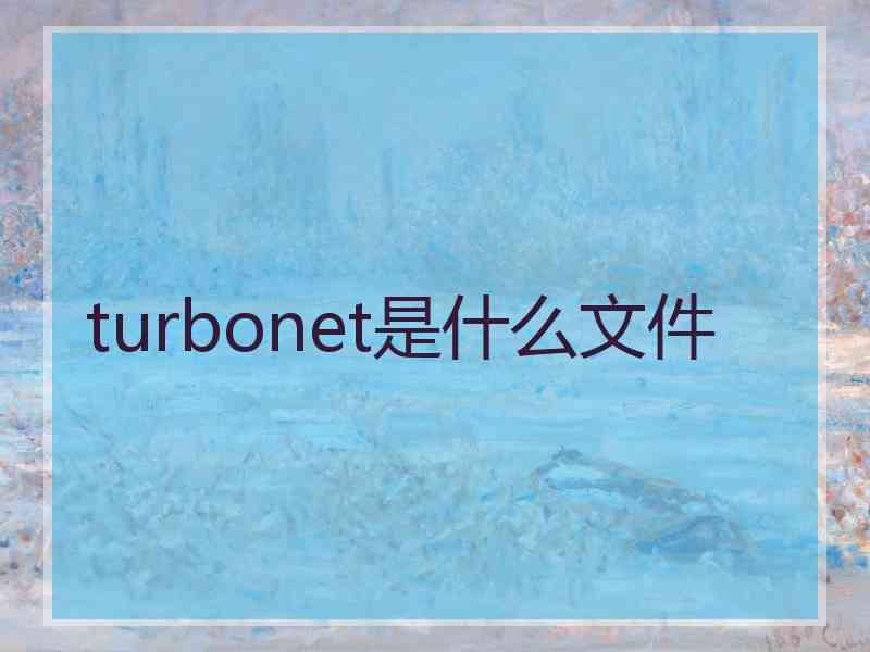 turbonet是什么文件