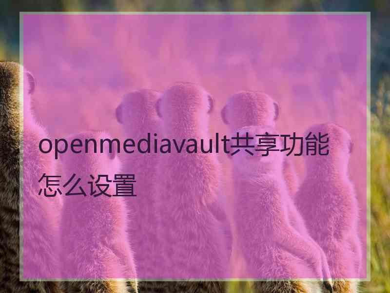 openmediavault共享功能怎么设置