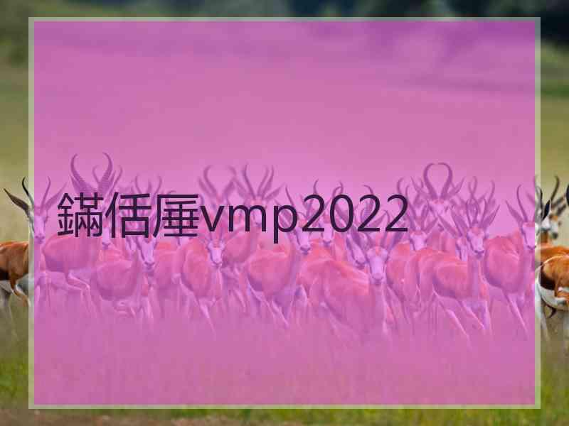 鏋佸厜vmp2022