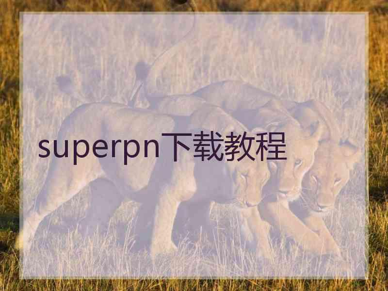 superpn下载教程