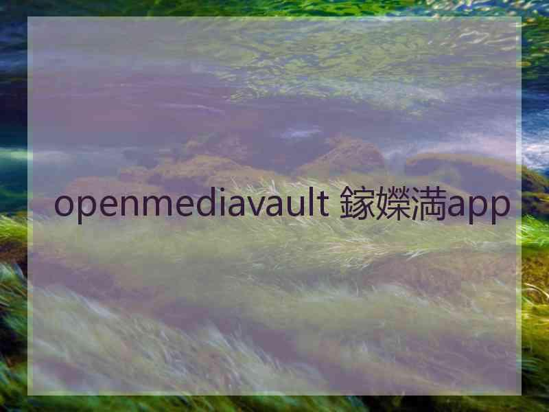 openmediavault 鎵嬫満app