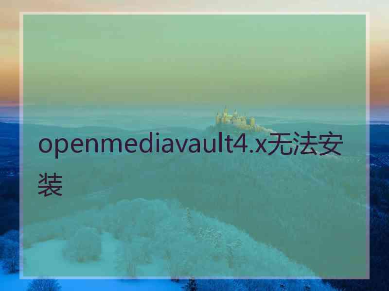 openmediavault4.x无法安装