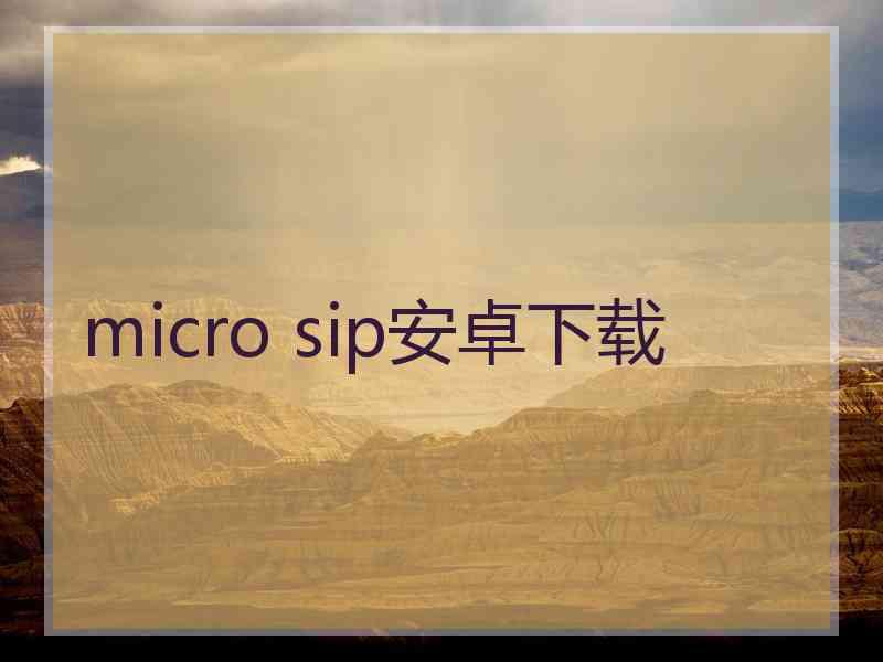 micro sip安卓下载