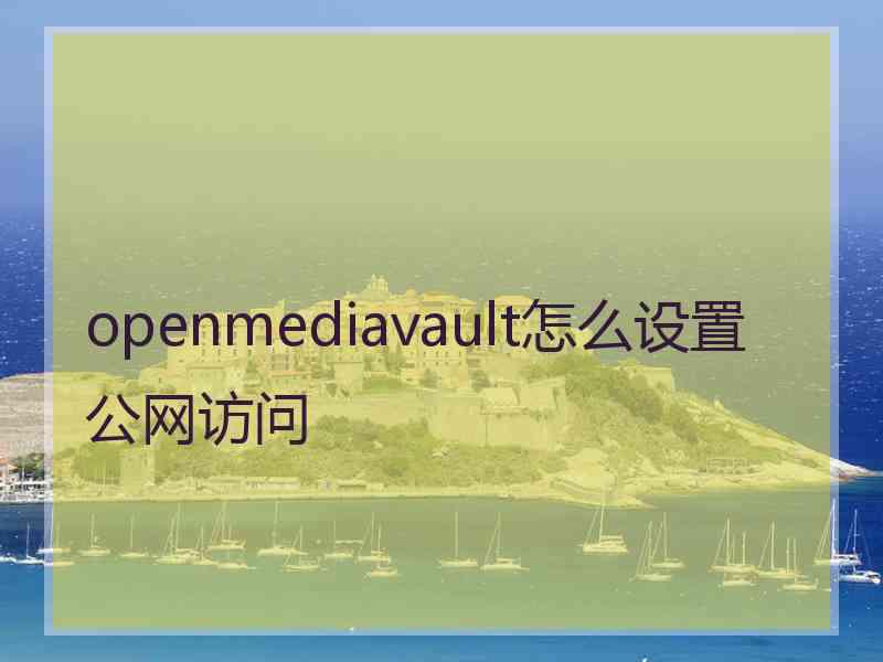 openmediavault怎么设置公网访问