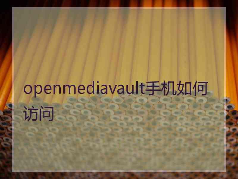 openmediavault手机如何访问