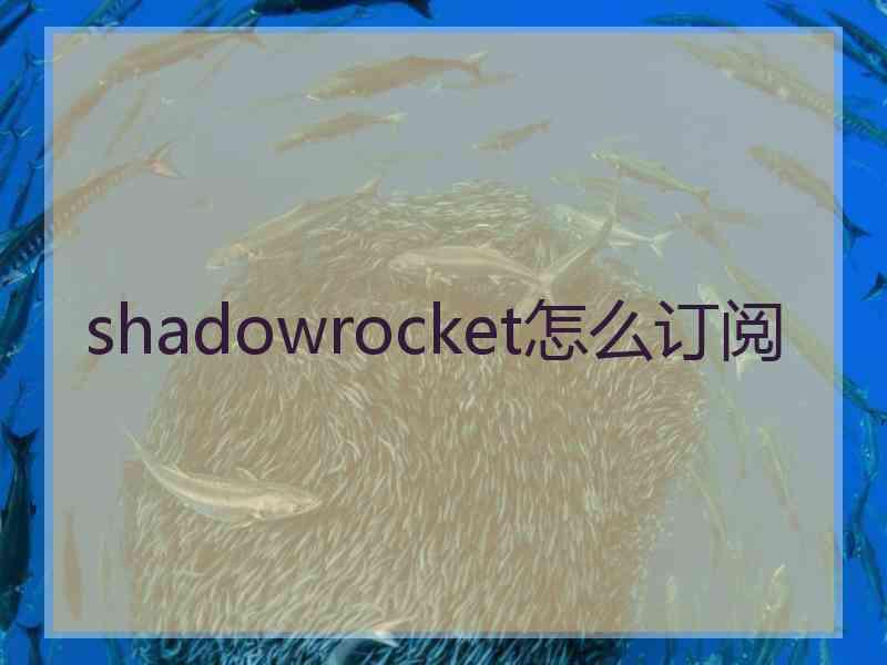 shadowrocket怎么订阅