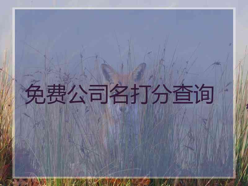 免费公司名打分查询
