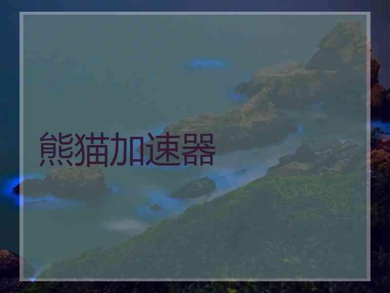 熊猫加速器