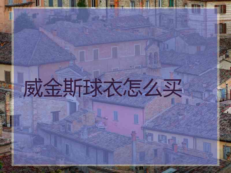 威金斯球衣怎么买