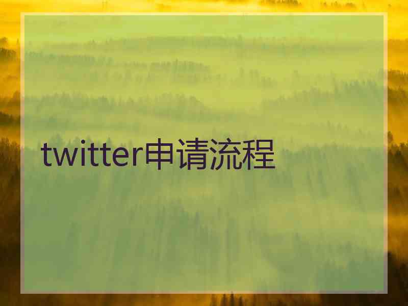 twitter申请流程