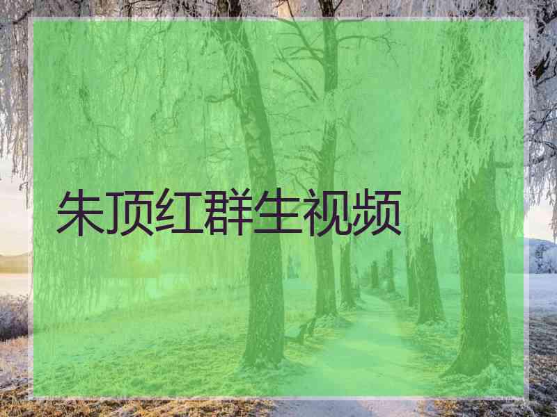 朱顶红群生视频