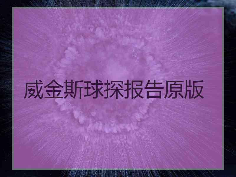 威金斯球探报告原版