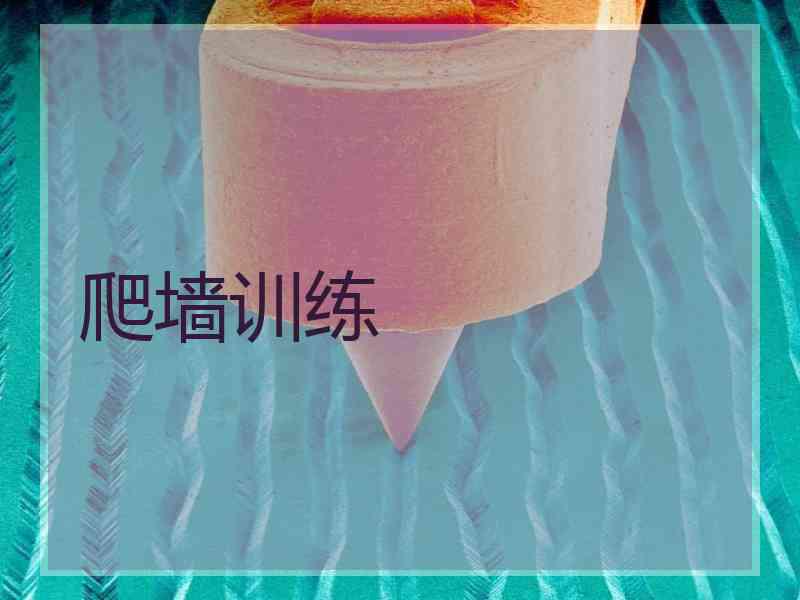 爬墙训练