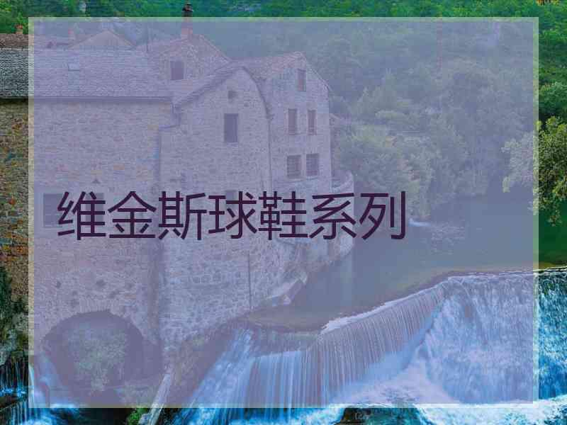 维金斯球鞋系列