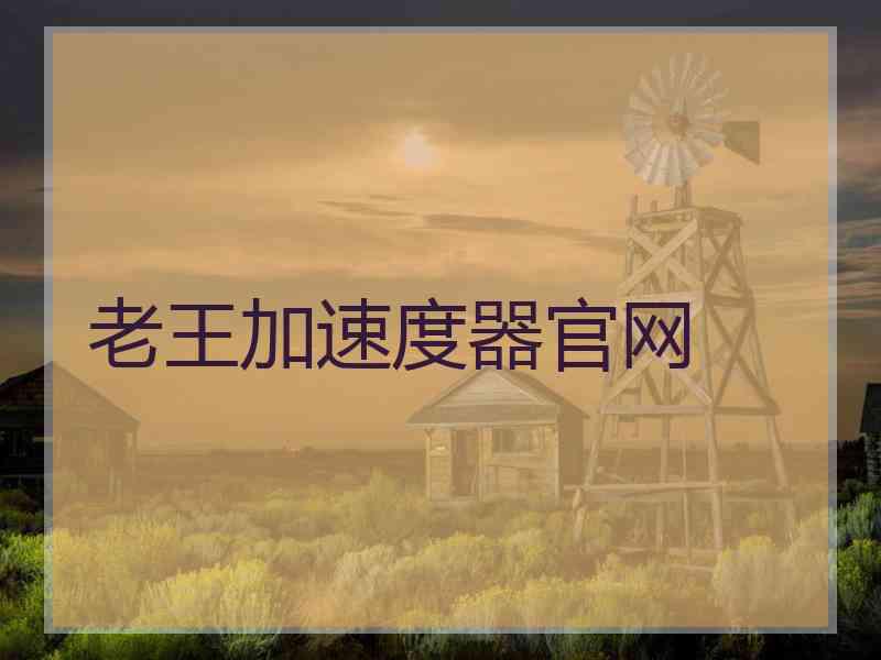 老王加速度器官网