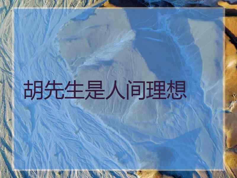 胡先生是人间理想