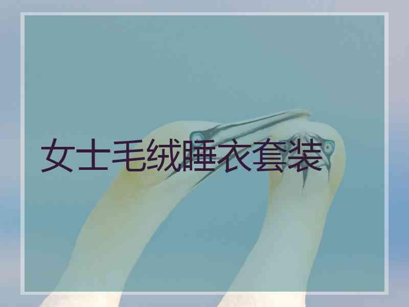 女士毛绒睡衣套装
