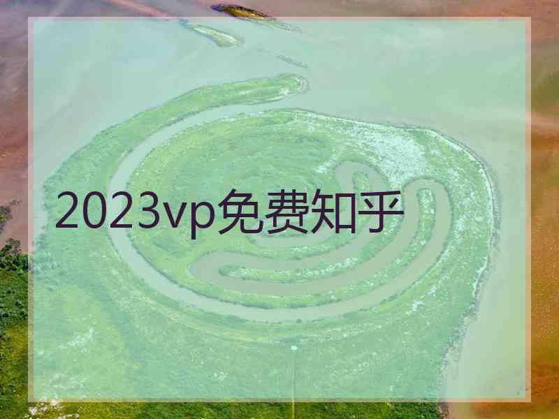 2023vp免费知乎