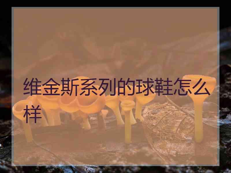 维金斯系列的球鞋怎么样