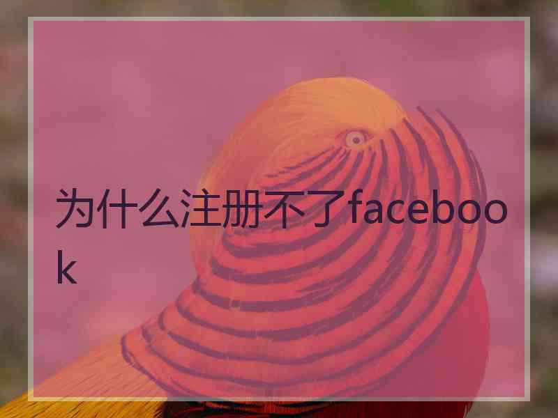 为什么注册不了facebook