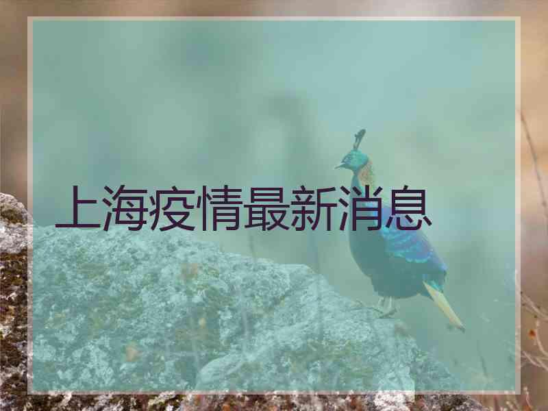 上海疫情最新消息