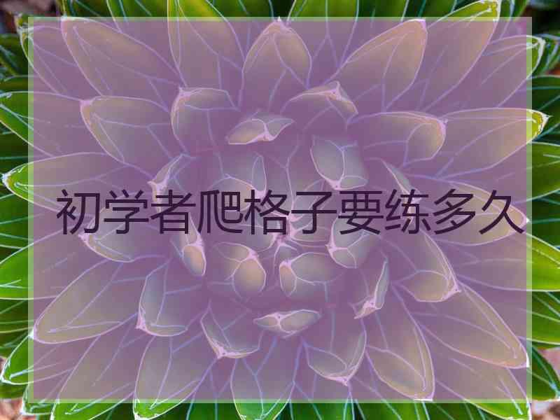 初学者爬格子要练多久