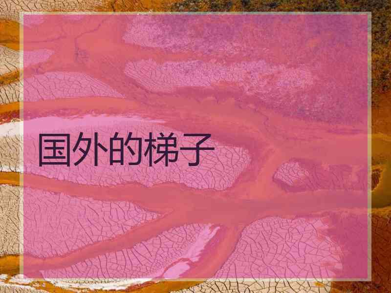国外的梯子