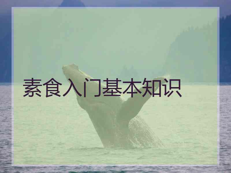素食入门基本知识