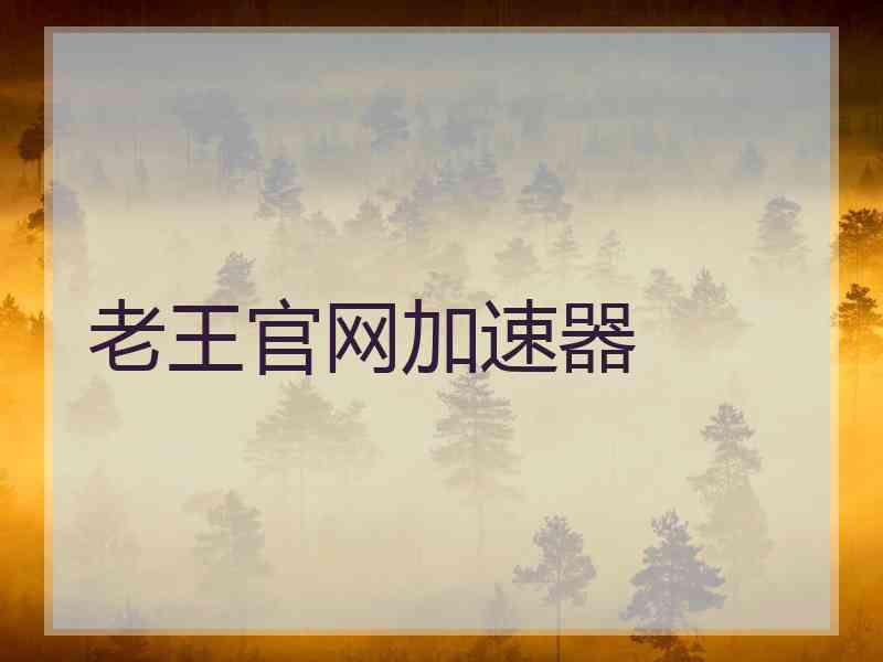 老王官网加速器