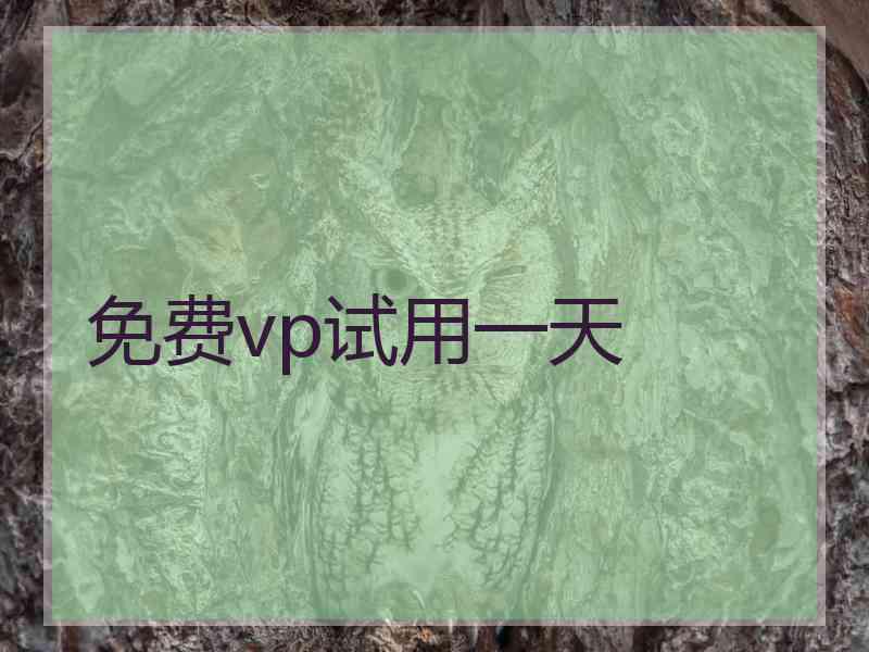 免费vp试用一天