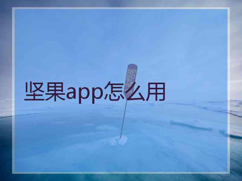 坚果app怎么用