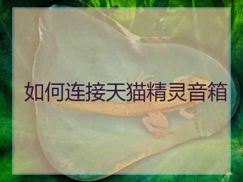 如何连接天猫精灵音箱