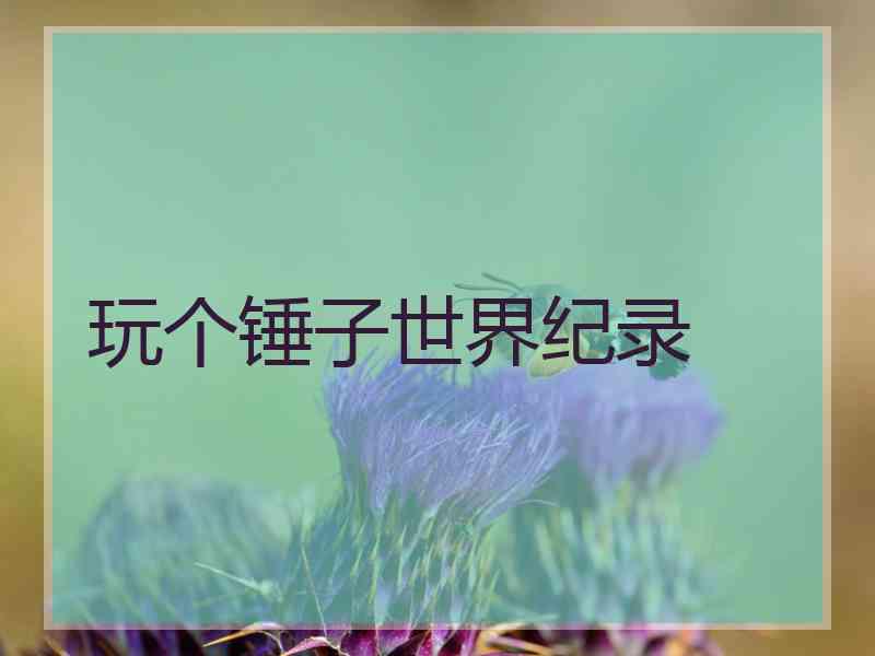 玩个锤子世界纪录