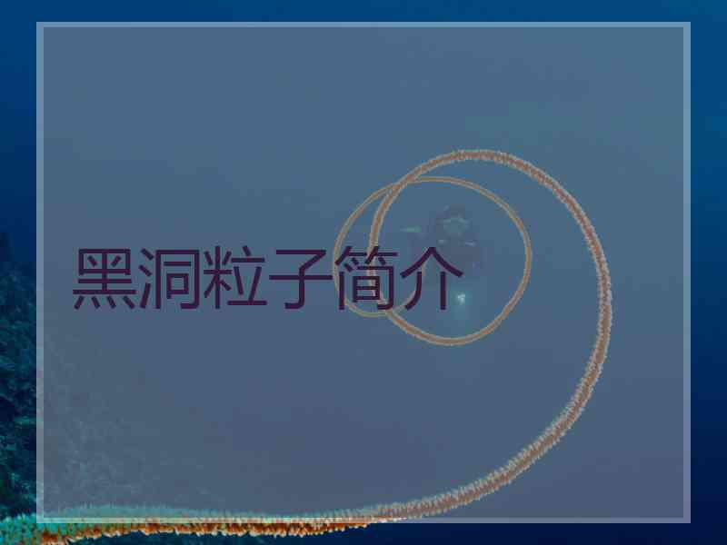 黑洞粒子简介