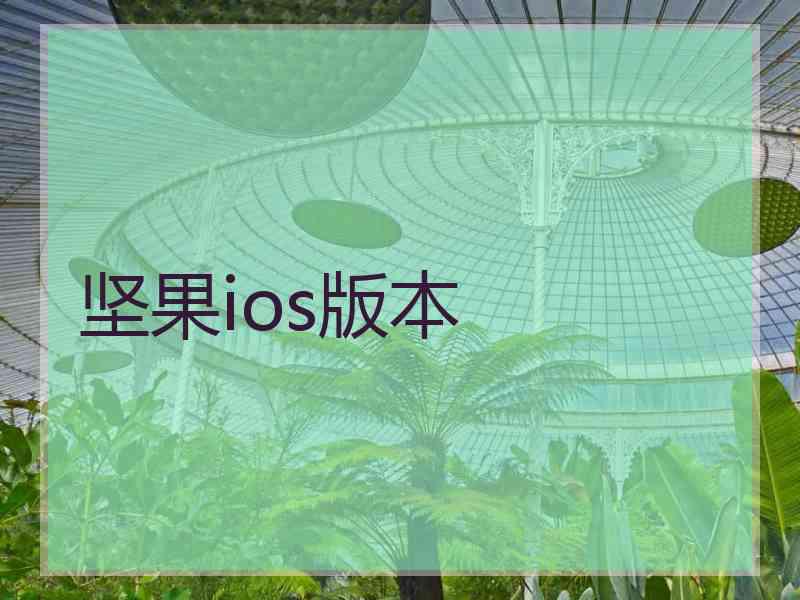 坚果ios版本