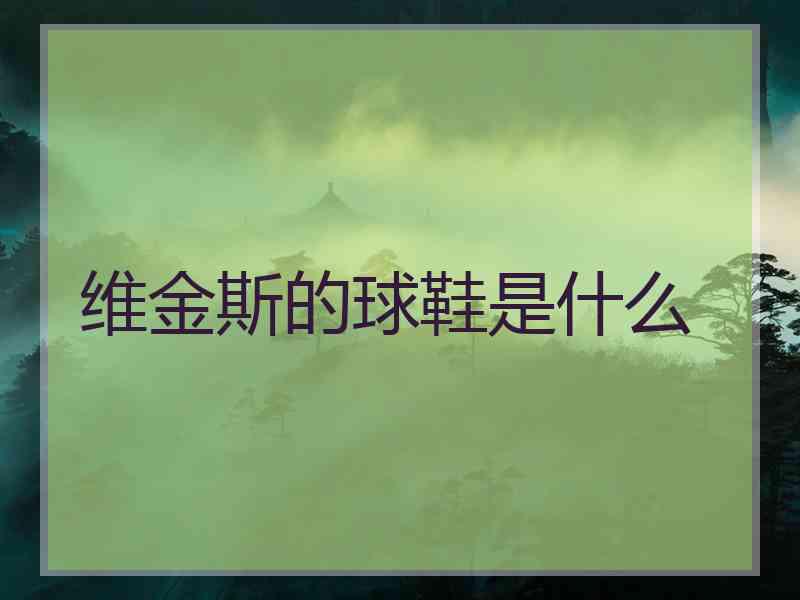 维金斯的球鞋是什么
