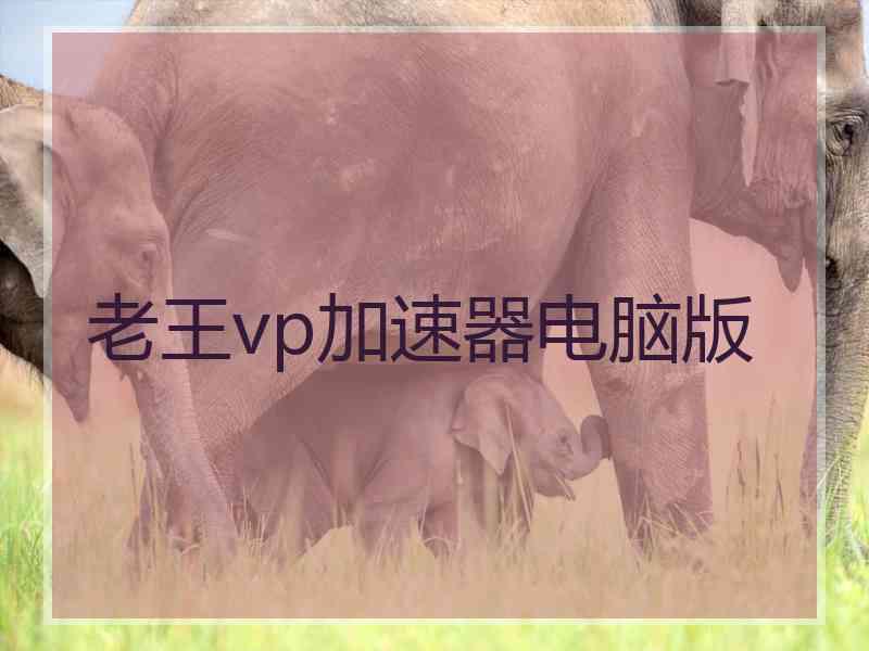 老王vp加速器电脑版