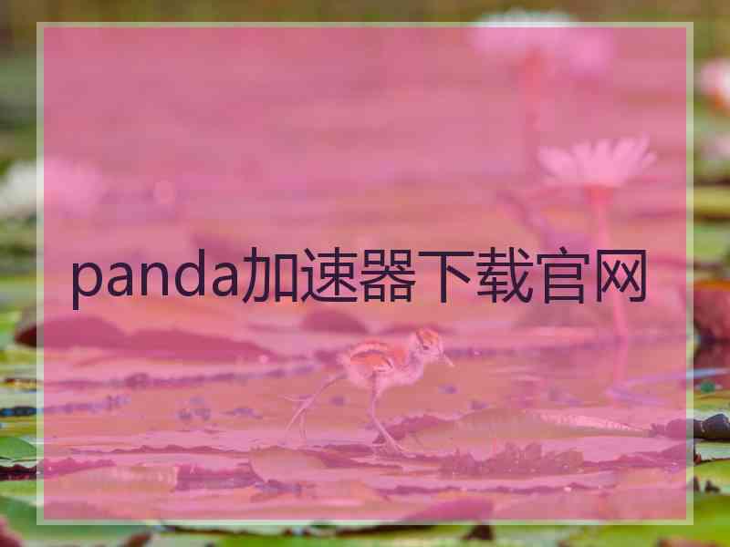 panda加速器下载官网