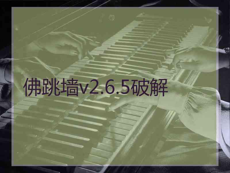 佛跳墙v2.6.5破解