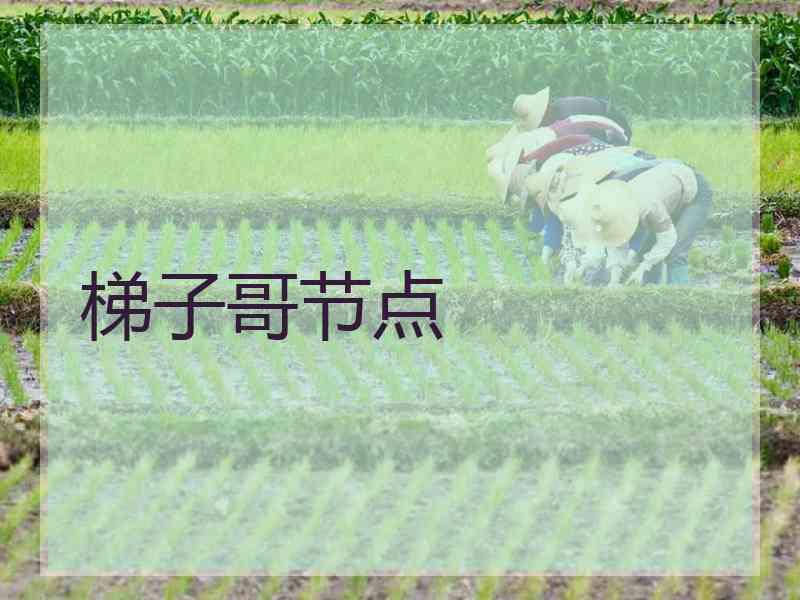 梯子哥节点