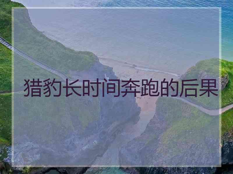猎豹长时间奔跑的后果