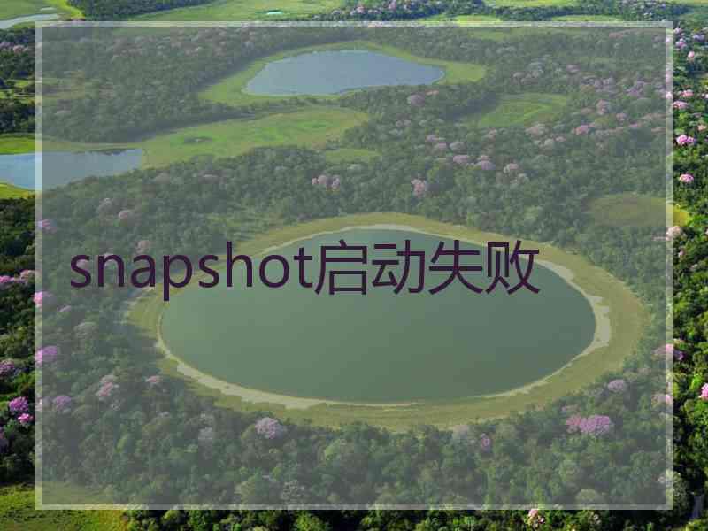 snapshot启动失败