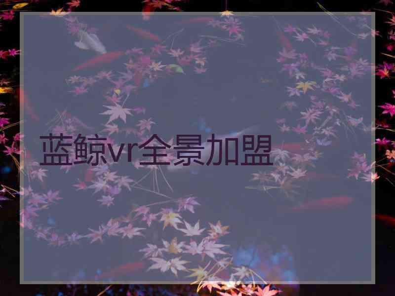 蓝鲸vr全景加盟