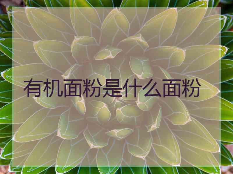 有机面粉是什么面粉